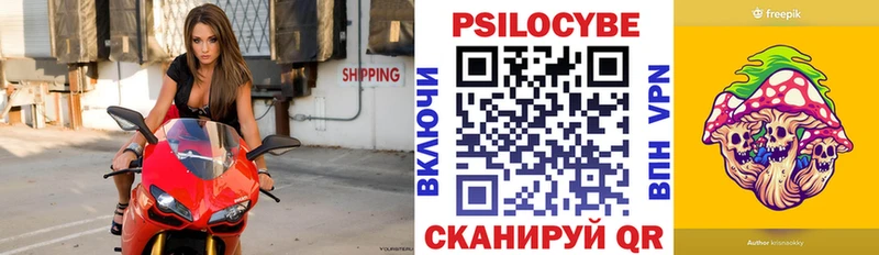 OMG как войти  наркошоп  Холм  Псилоцибиновые грибы мицелий 